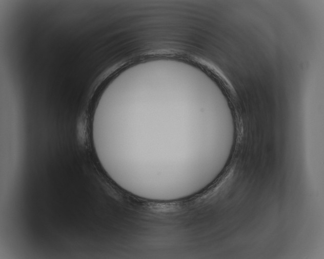 X0000101190874200806270845