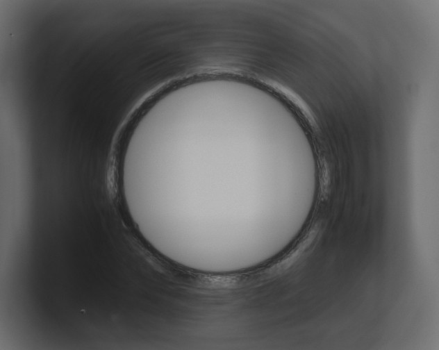 X0000101190878200806270845