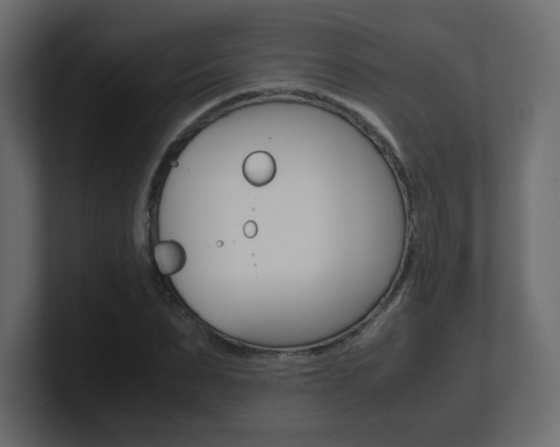 X0000101190879200806270845