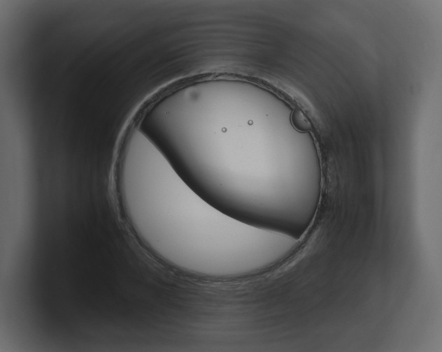 X0000101190880200806270845