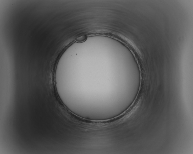 X0000101190881200806270845