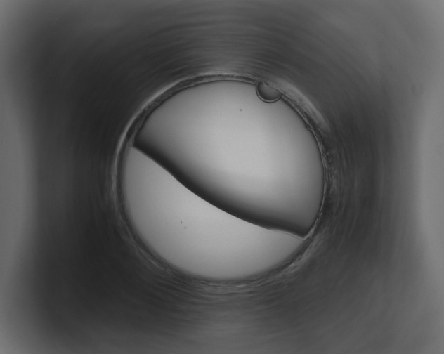 X0000101190884200806270845