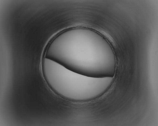 X0000101190888200806270845