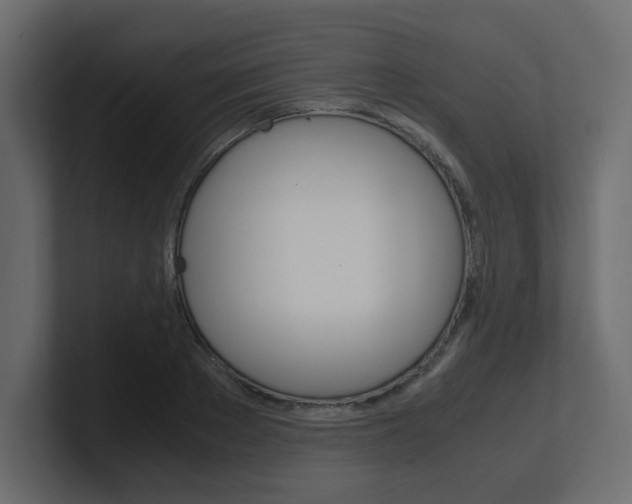 X0000101190889200806270845