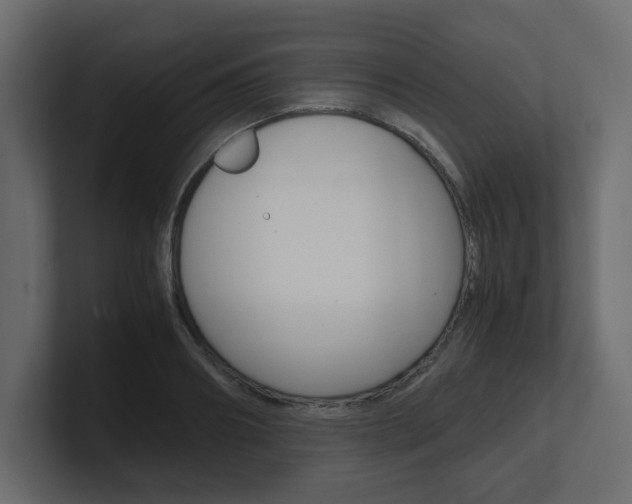 X0000101190890200806270845