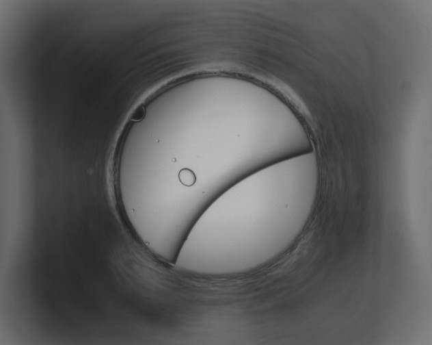 X0000101190895200806270845
