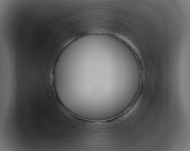 X0000101190897200806270845