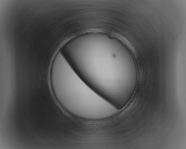 X0000101190898200806270845