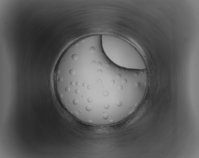 X0000101190899200806270845