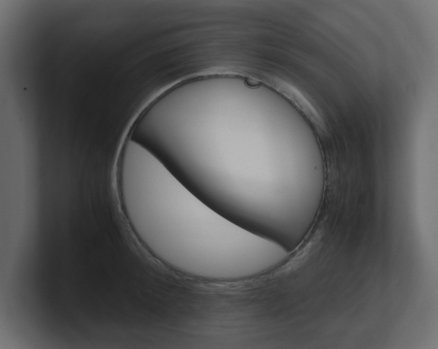 X0000101190900200806270845