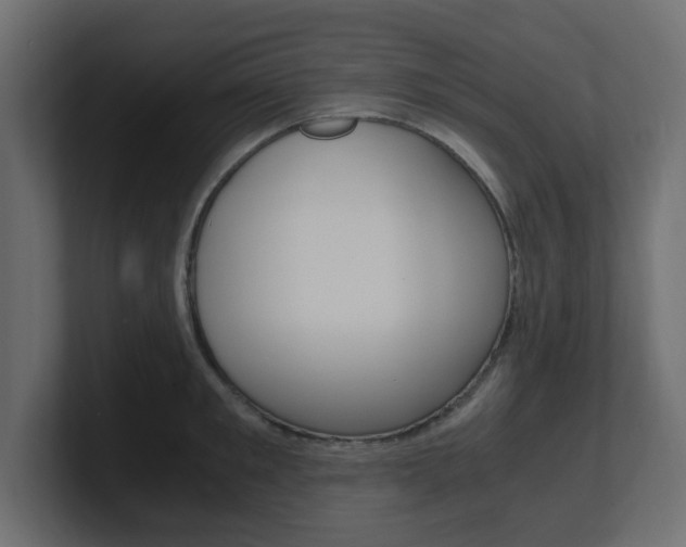 X0000101190901200806270845