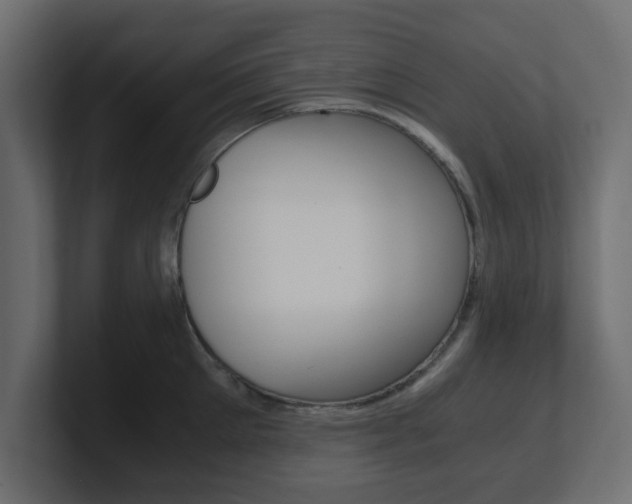 X0000101190905200806270845