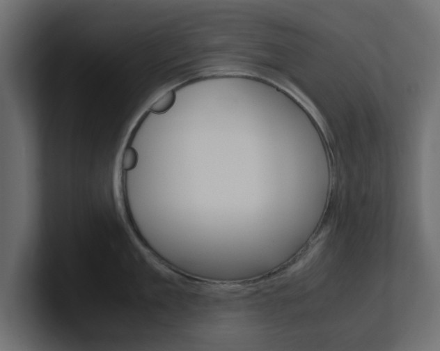 X0000101190909200806270844