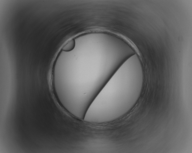 X0000101190911200806270844