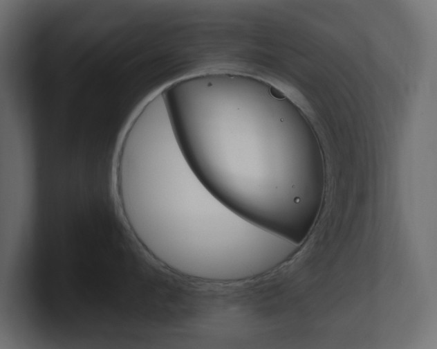 X0000101190912200806270844