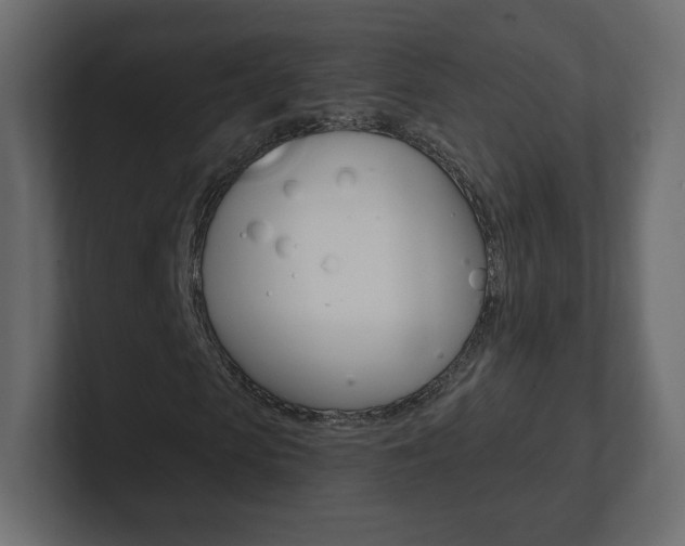 X0000101190913200806270844