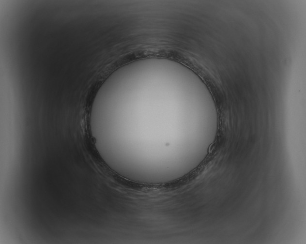 X0000101190914200806270844