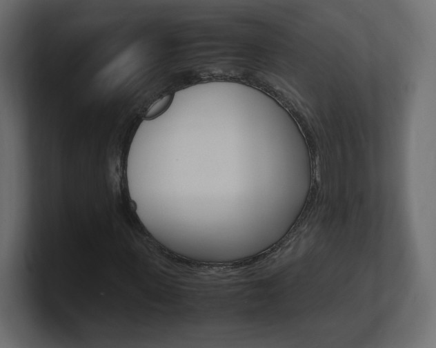 X0000101190915200806270844