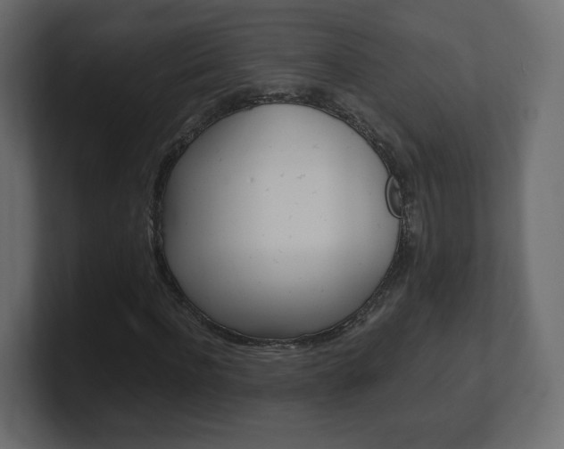 X0000101190916200806270844