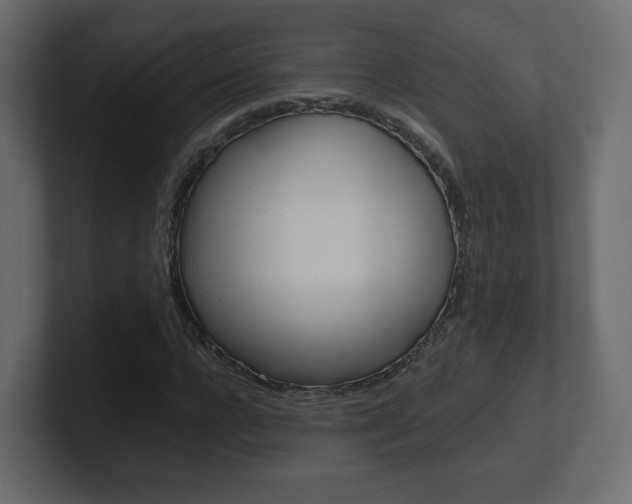 X0000101190920200806270844