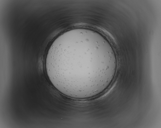X0000101190921200806270844