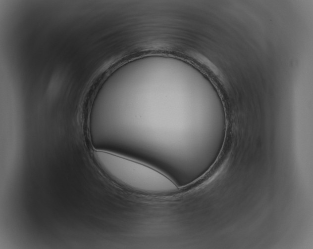 X0000101190922200806270844