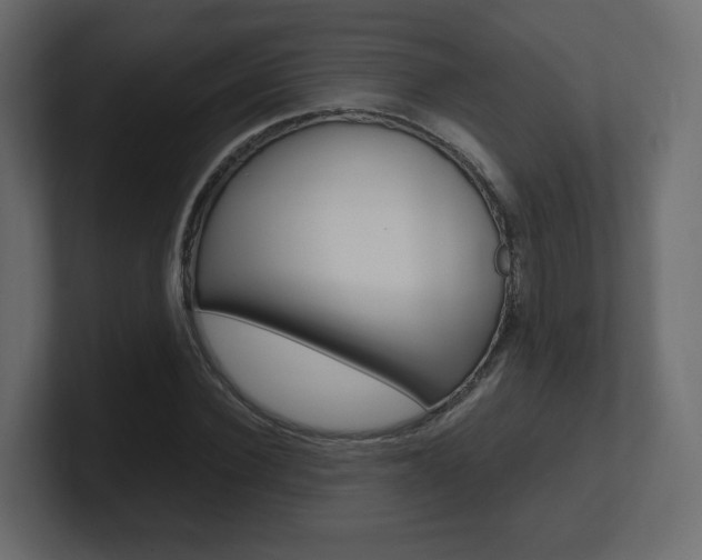 X0000101190924200806270844