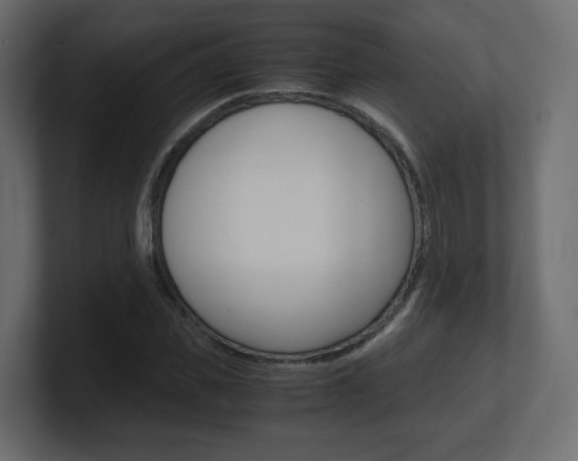 X0000101190925200806270844