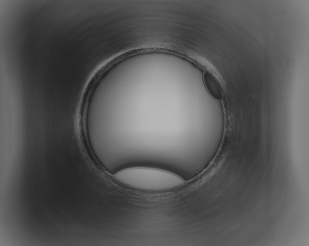 X0000101190928200806270844