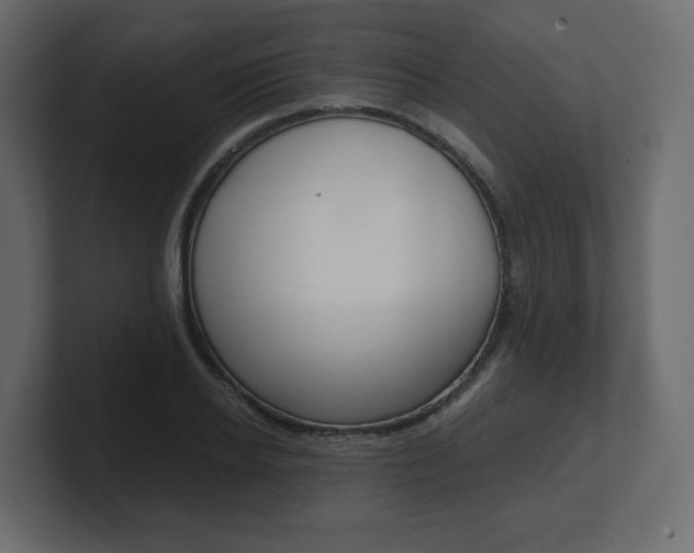 X0000101190934200806270844