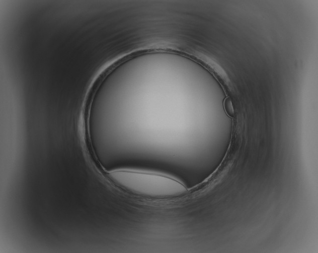 X0000101190936200806270844