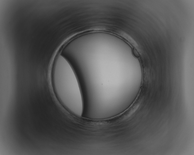 X0000101190939200806270844