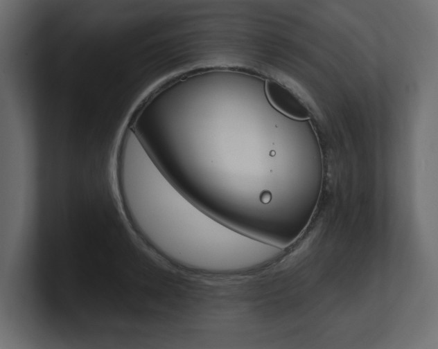 X0000101190942200806270844