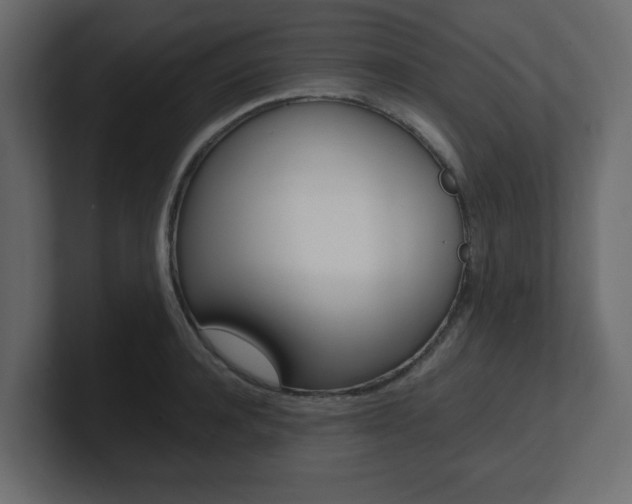 X0000101190944200806270844
