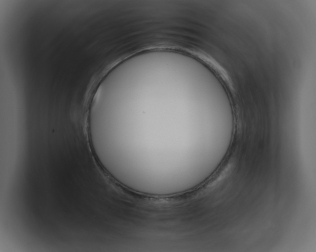 X0000101190945200806270844