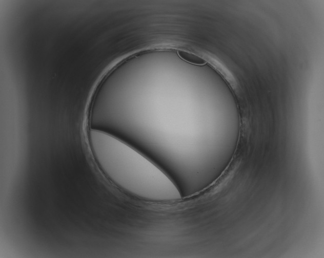 X0000101190948200806270844