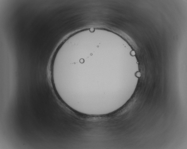 X0000101190950200806270844