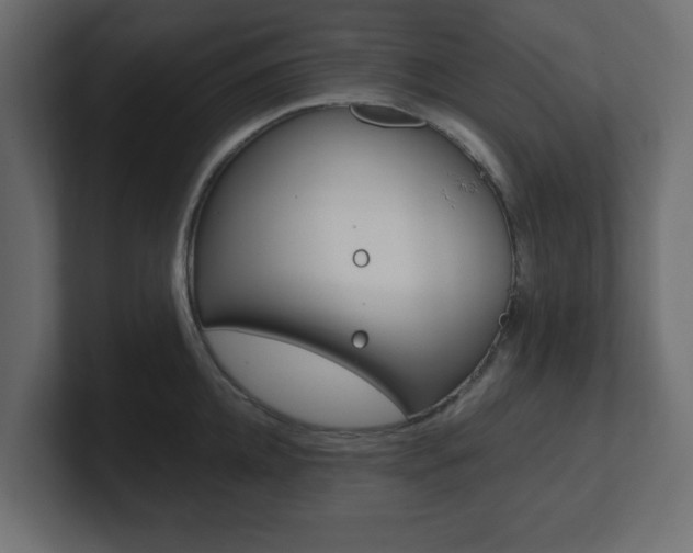 X0000101190952200806270844