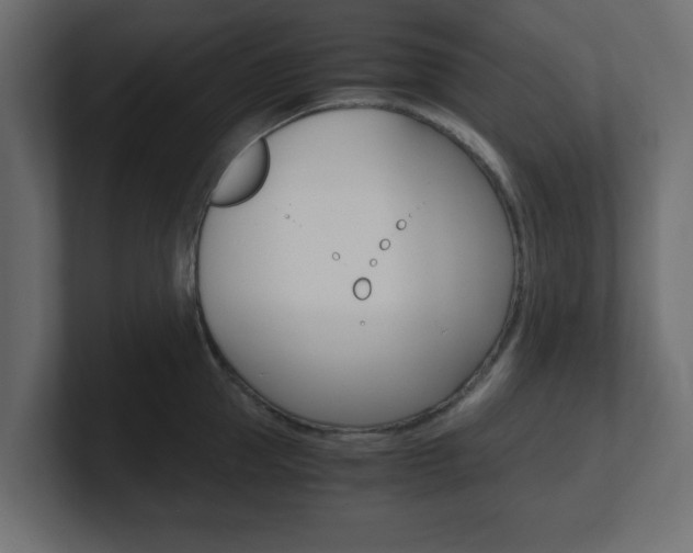 X0000101190953200806270844
