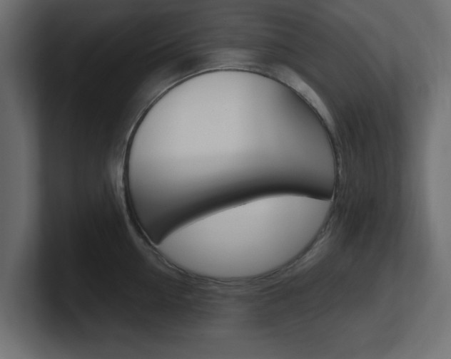 X0000101190954200806270844