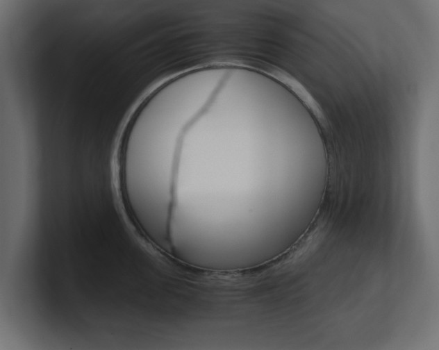 X0000101190955200806270844