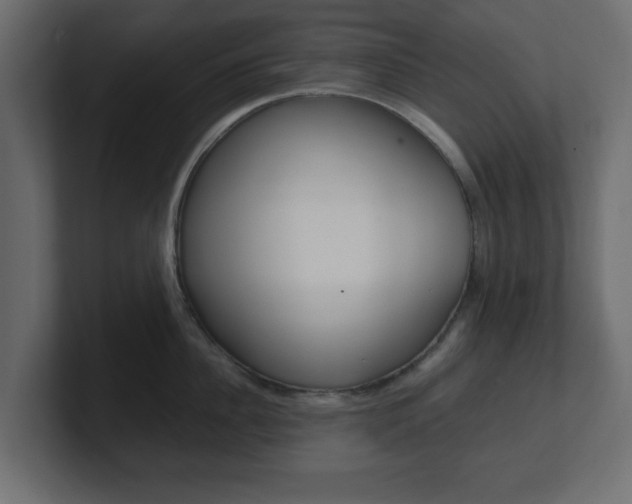 X0000101190956200806270844