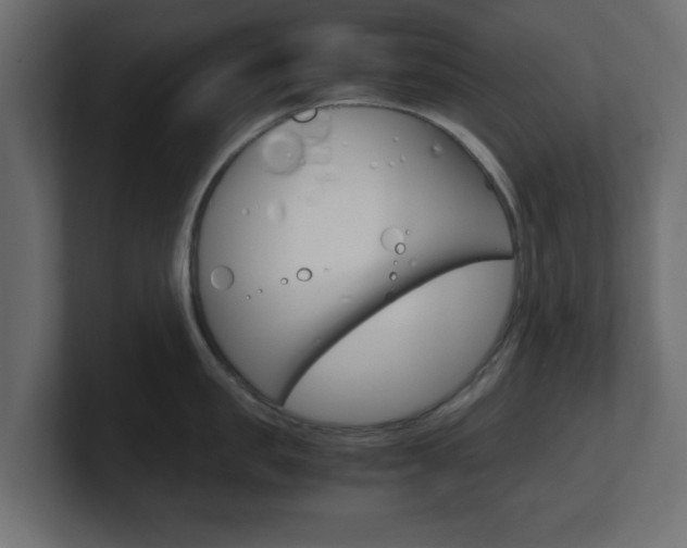 X0000101190957200806270844