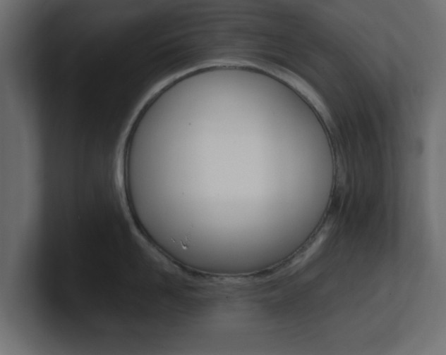 X0000101190958200806270844