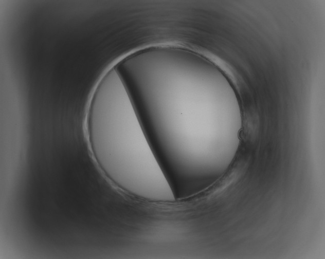X0000101190959200806270844