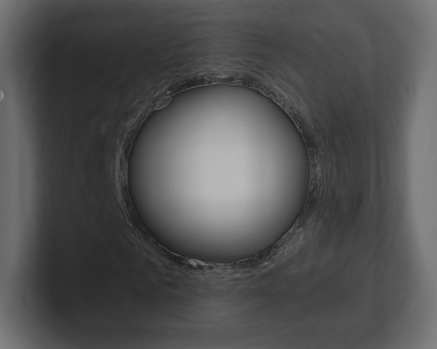 X0000101190961200806270844