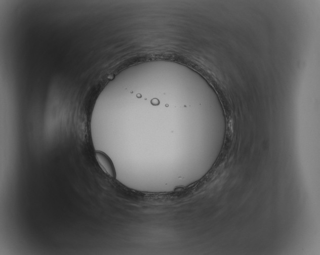 X0000101190963200806270844