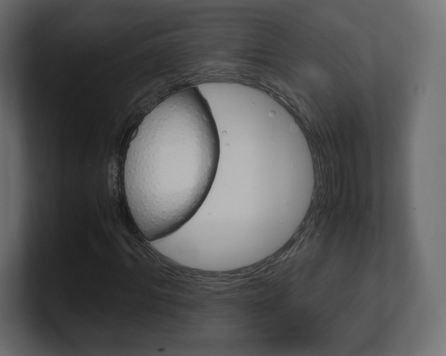 X0000101190964200806270844