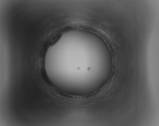 X0000101190965200806270844
