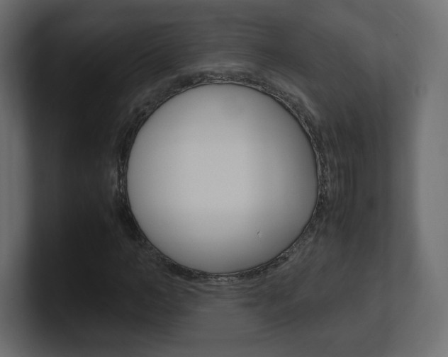 X0000101190966200806270844